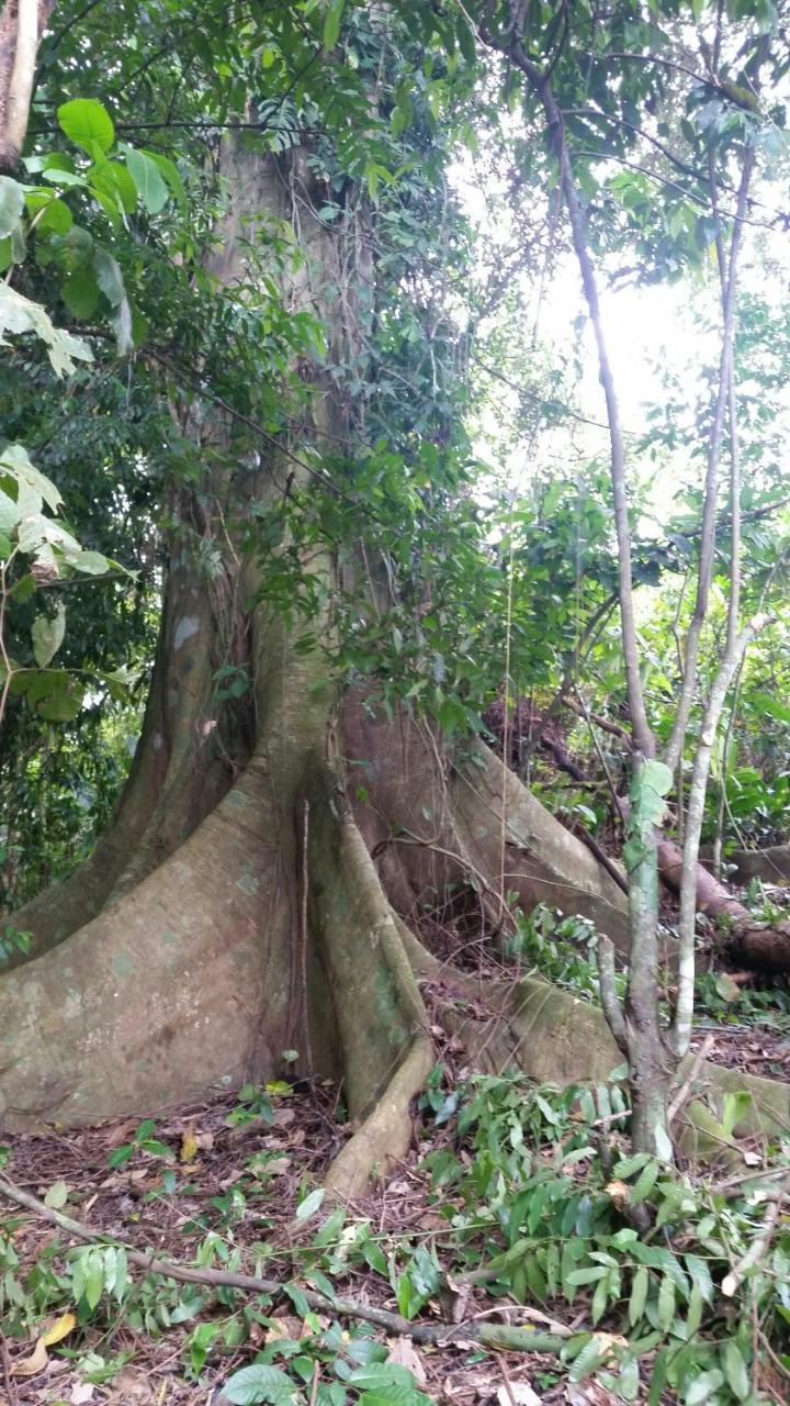 Panama Eco Resort Tierra Oscura Esterno foto