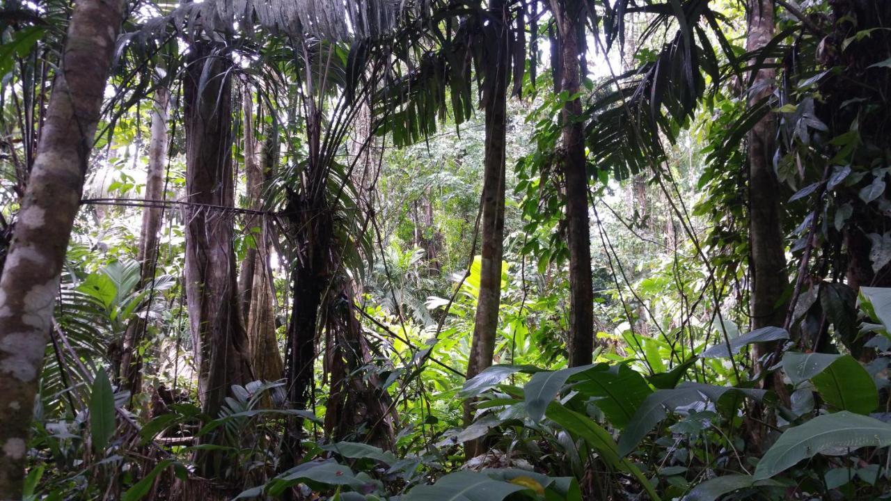 Panama Eco Resort Tierra Oscura Esterno foto